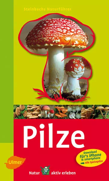 Cover: Steinbachs Naturführer Pilze