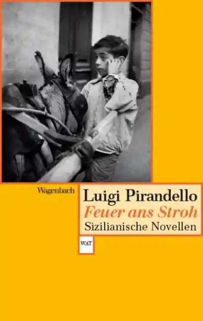 Cover: Feuer ans Stroh