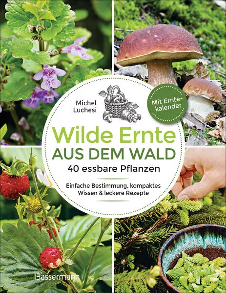 Cover: Wilde Ernte aus dem Wald - 40 essbare Pflanzen - einfache Bestimmung, kompaktes Wissen und leckere Rezepte