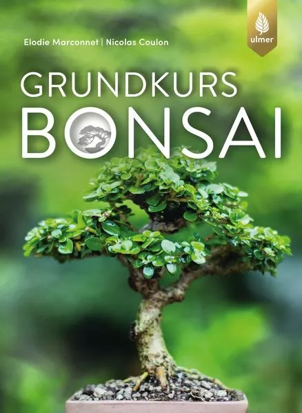 Cover: Grundkurs Bonsai