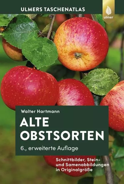 Cover: Alte Obstsorten