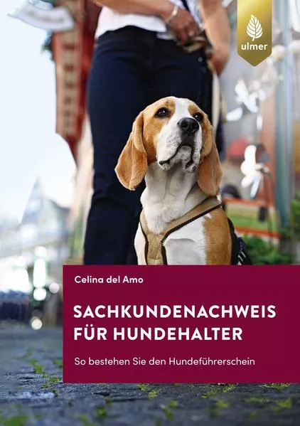 Sachkundenachweis für Hundehalter