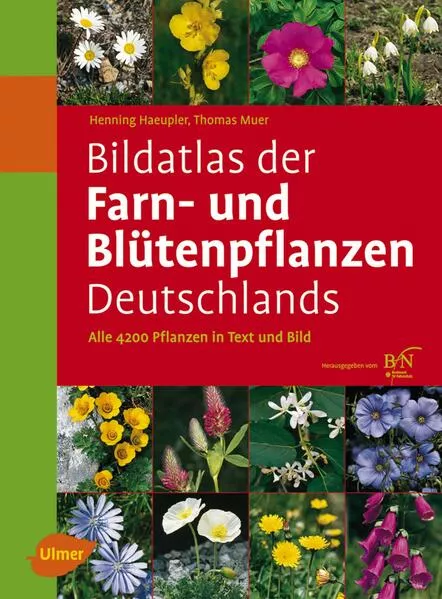Cover: Bildatlas der Farn- und Blütenpflanzen Deutschlands