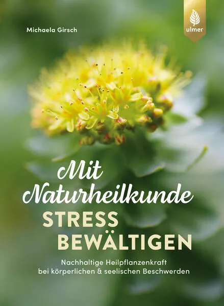 Mit Naturheilkunde Stress bewältigen</a>