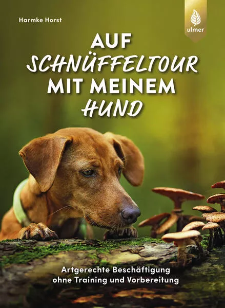 Auf Schnüffeltour mit meinem Hund</a>