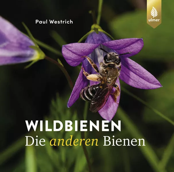 Wildbienen, die anderen Bienen</a>