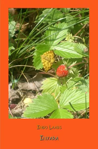 Cover: Valdolon / Inyara