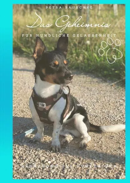 Das Geheimnis für hundliche Gelassenheit