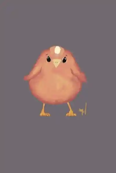 Cover: Notizbuch Bird