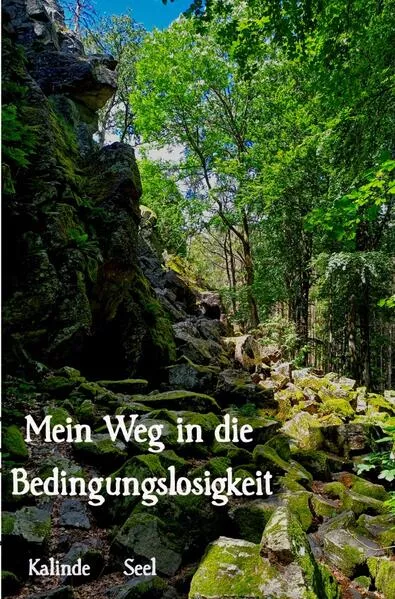 Cover: Bedingungslosigkeit leben
