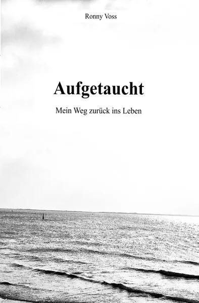 Cover: Aufgetaucht