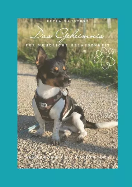 Das Geheimnis für hundliche Gelassenheit