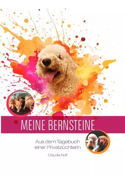 Cover: Meine Bernsteine