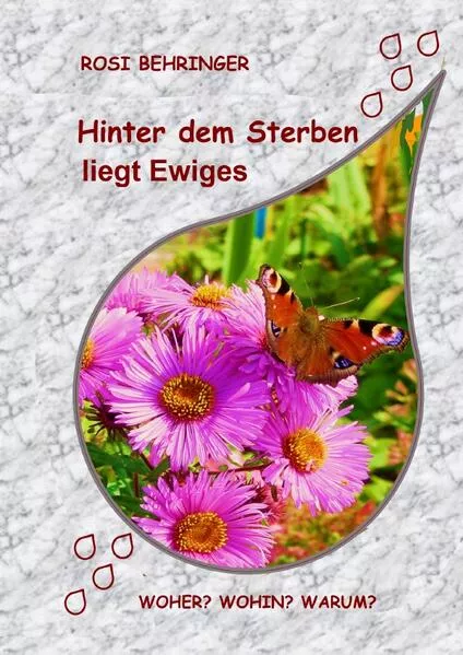 Cover: Hinter dem Sterben liegt Ewiges