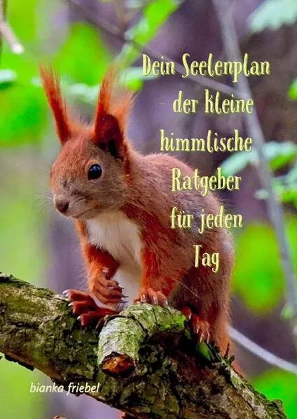 Cover: Dein Seelenplan - der kleine himmlische Ratgeber für jeden Tag