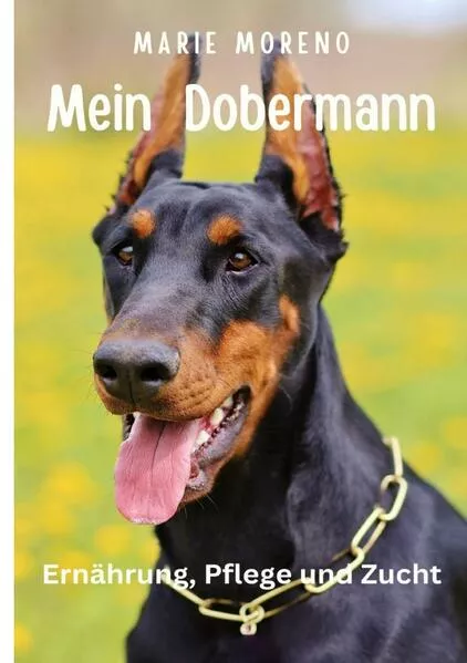 Cover: Mein Dobermann