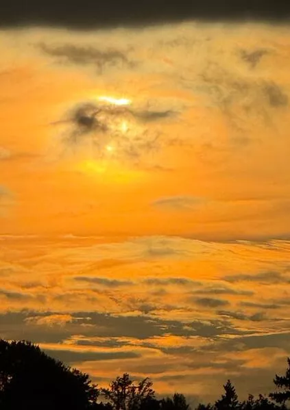 Die Abenteuer der kleinen Nebel Laus