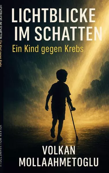 Cover: Lichtblicke im Schatten