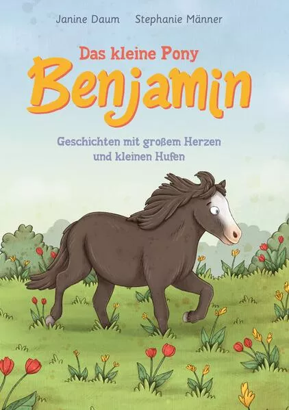 Cover: Das kleine Pony Benjamin