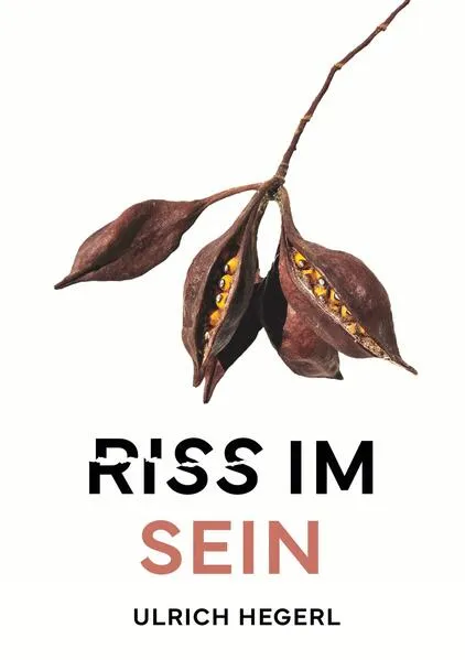 Cover: Riss im Sein