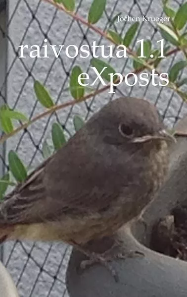 Cover: raivostua 1.1