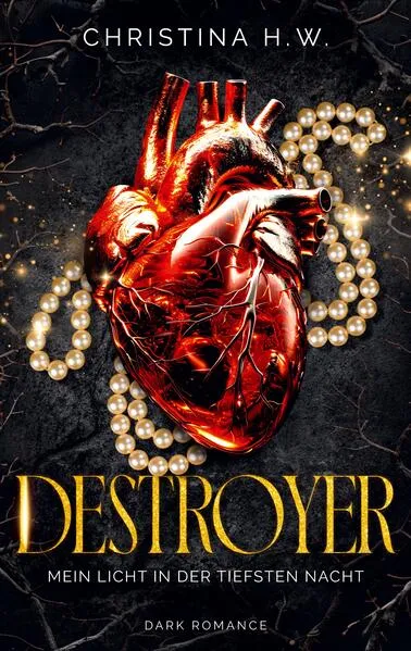 Cover: Destroyer