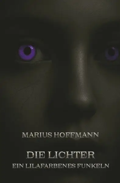 Cover: Die Lichter