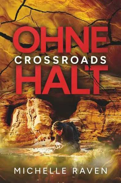 Cover: Ohne Halt