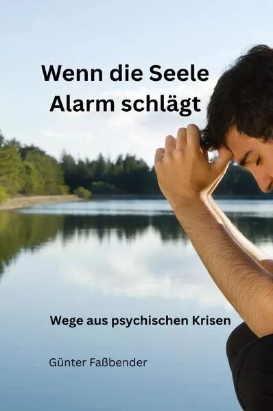 Cover: Wenn die Seele Alarm schlagt