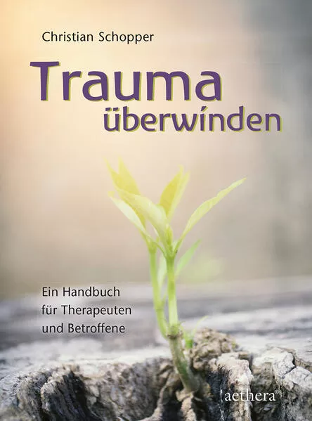 Cover: Trauma überwinden