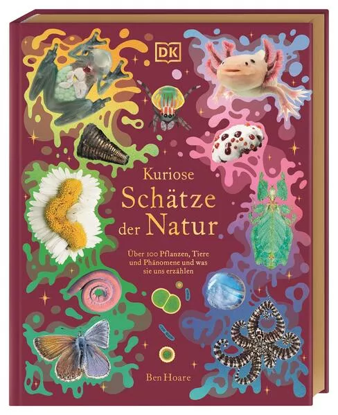 Kuriose Schätze der Natur</a>