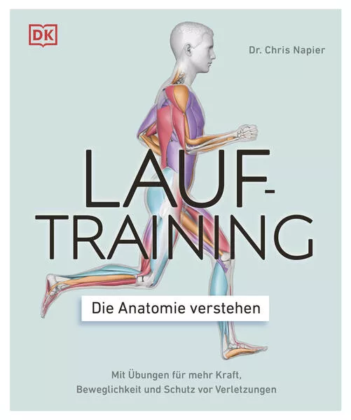 Lauftraining – Die Anatomie verstehen