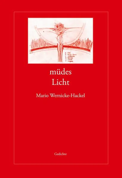Cover: müdes Licht