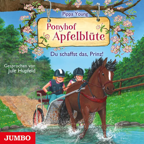 Cover: Ponyhof Apfelblüte. Du schaffst das, Prinz!