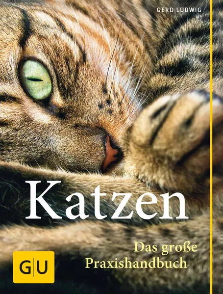 Cover: Praxishandbuch Katzen