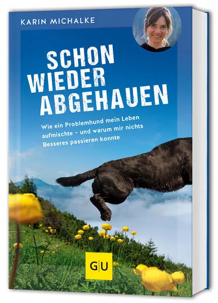 Cover: Schon wieder abgehauen