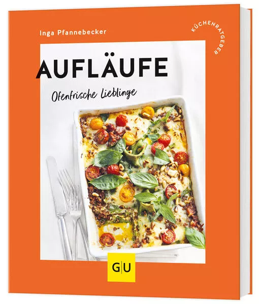 Cover: Aufläufe