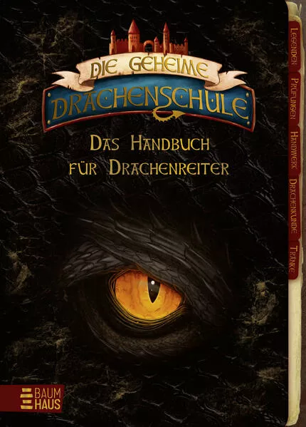 Cover: Die geheime Drachenschule - Das Handbuch für Drachenreiter