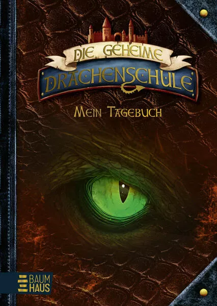 Cover: Die geheime Drachenschule - Mein Tagebuch