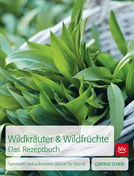 Cover: Wildkräuter & Wildfrüchte Das Rezeptbuch