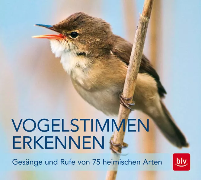 Cover: Vogelstimmen erkennen / CD