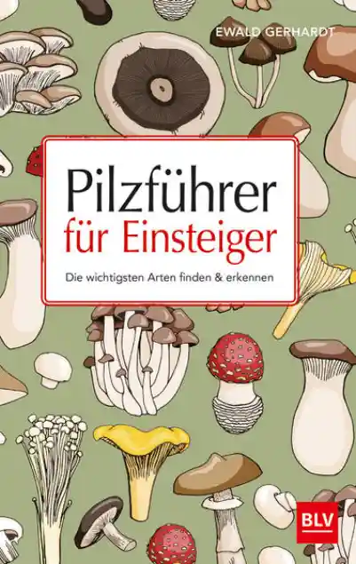 Cover: Pilzführer für Einsteiger
