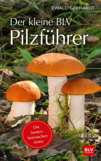 Cover: Der kleine BLV Pilzführer