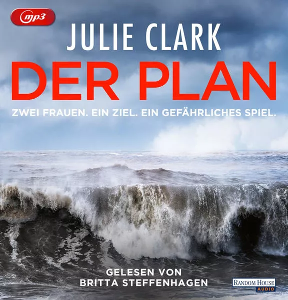 Cover: Der Plan – Zwei Frauen. Ein Ziel. Ein gefährliches Spiel