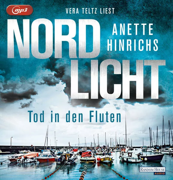 Cover: Nordlicht - Tod in den Fluten