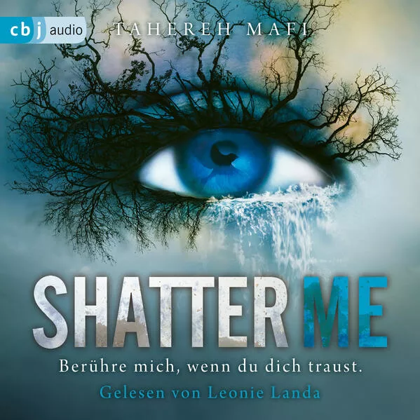 Cover: Shatter Me