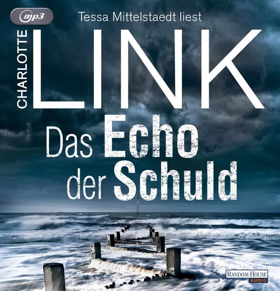 Cover: Das Echo der Schuld