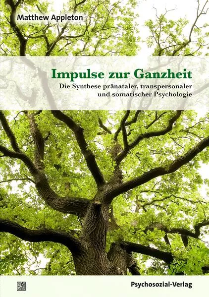 Cover: Impulse zur Ganzheit