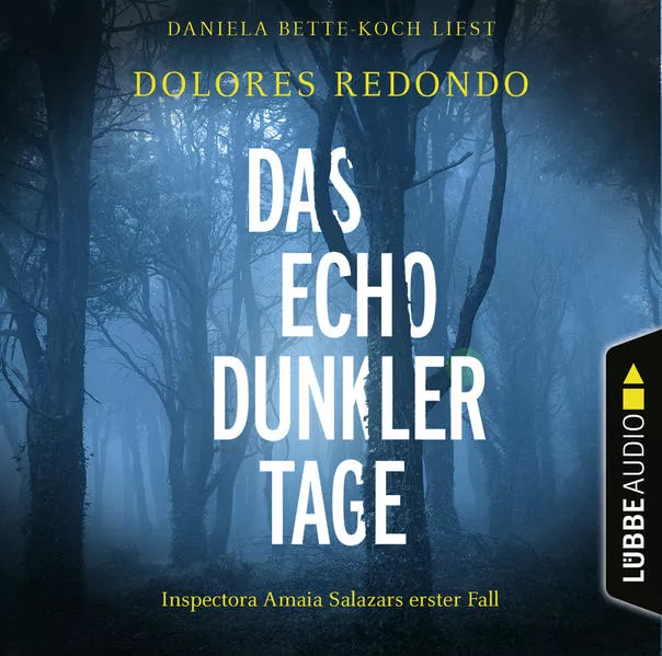 Cover: Das Echo dunkler Tage
