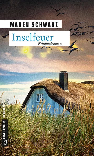 Cover: Inselfeuer